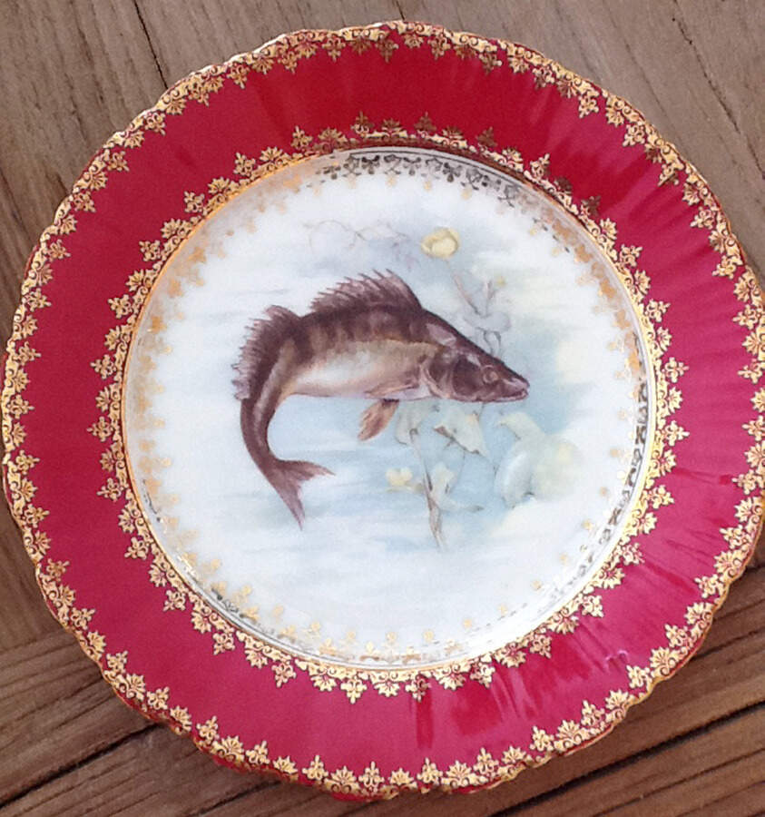 VTO124 Dinner Plate by Victoria (Austria)-1
