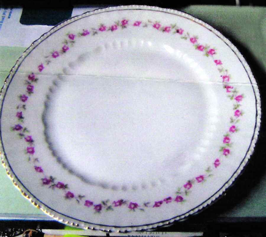 VTO132 Dinner Plate by Victoria (Austria)-1