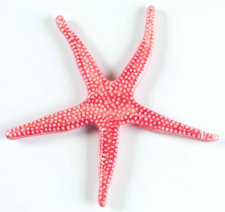 Triton Collection Starfish by Vietri (Italy)-1