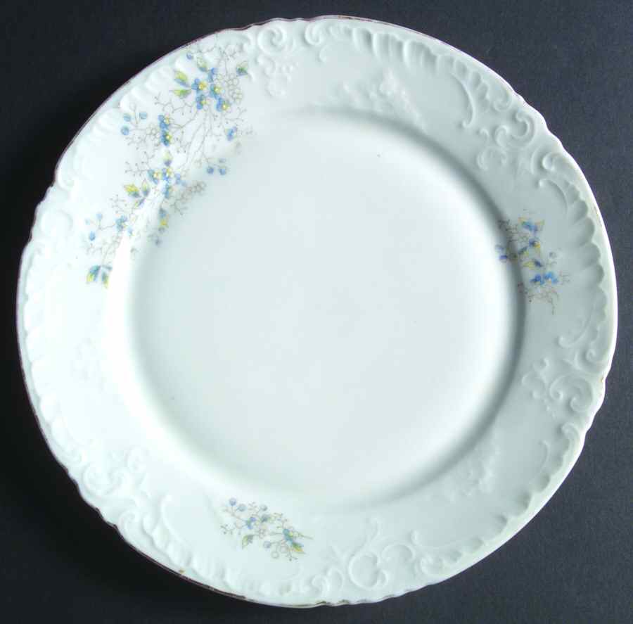 VTO136 Dinner Plate by Victoria (Austria)-1