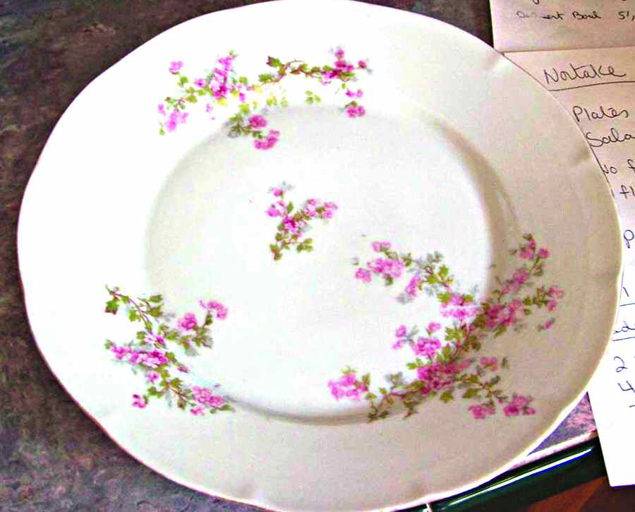 VTO138 Dinner Plate by Victoria (Austria)-1