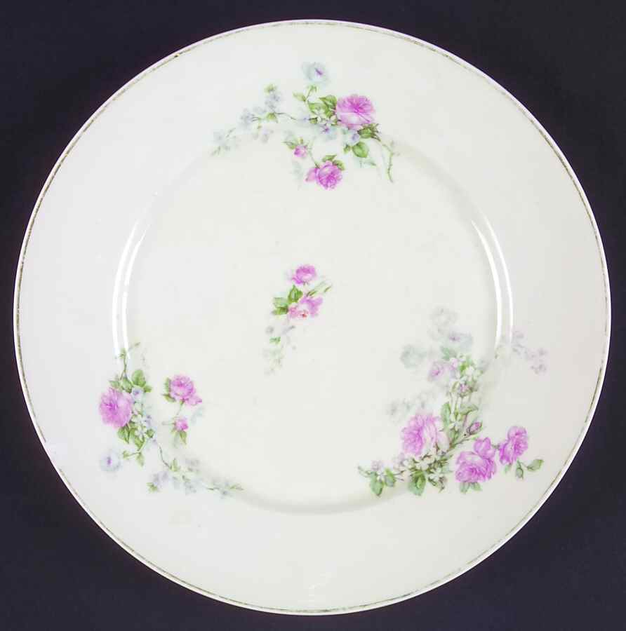 VIT289 Dinner Plate by Victoria (Czech)-1