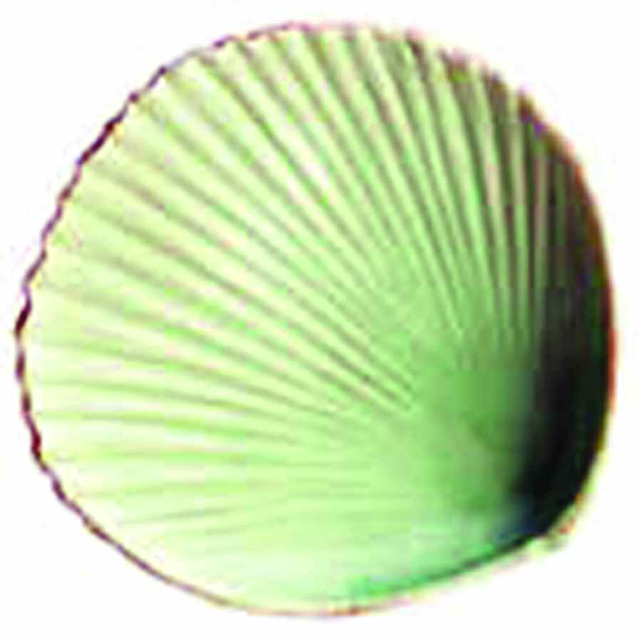 Sabbia Canape Plate by Vietri (Italy)-1