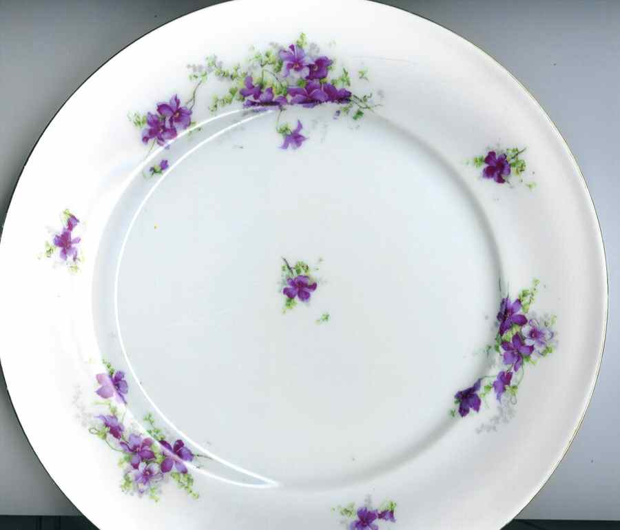 VTO148 Dinner Plate by Victoria (Austria)-1