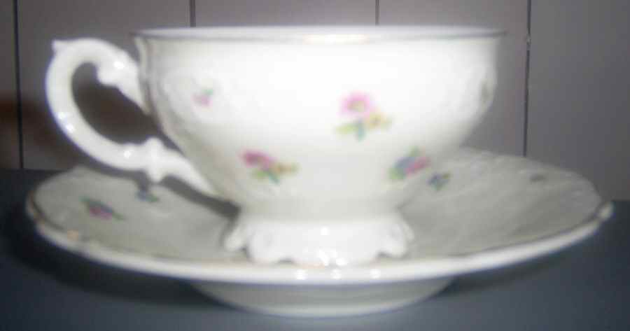 VIT307 Footed Cup & Saucer Set by Victoria (Czech)-1