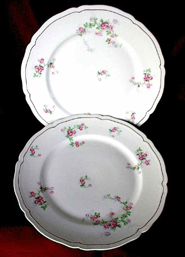 VNN34 Dinner Plate by Vienna-1