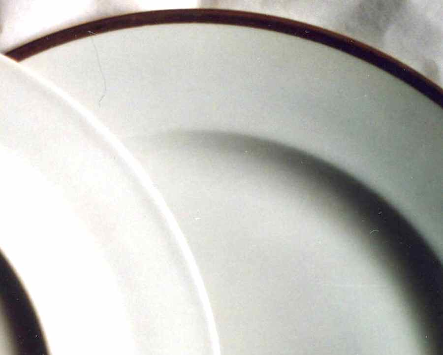 VIG157 Dinner Plate by Vignaud-1
