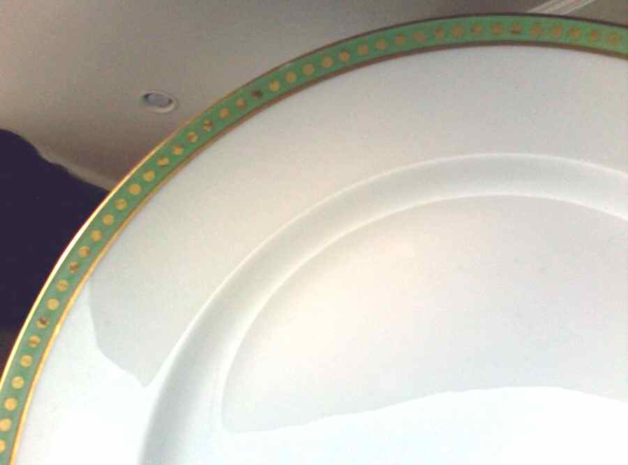 VIG160 Dinner Plate by Vignaud-1