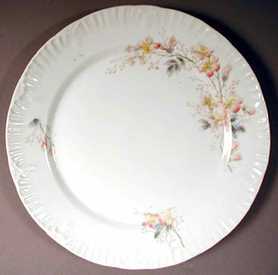 VTO158 Dinner Plate by Victoria (Austria)-1