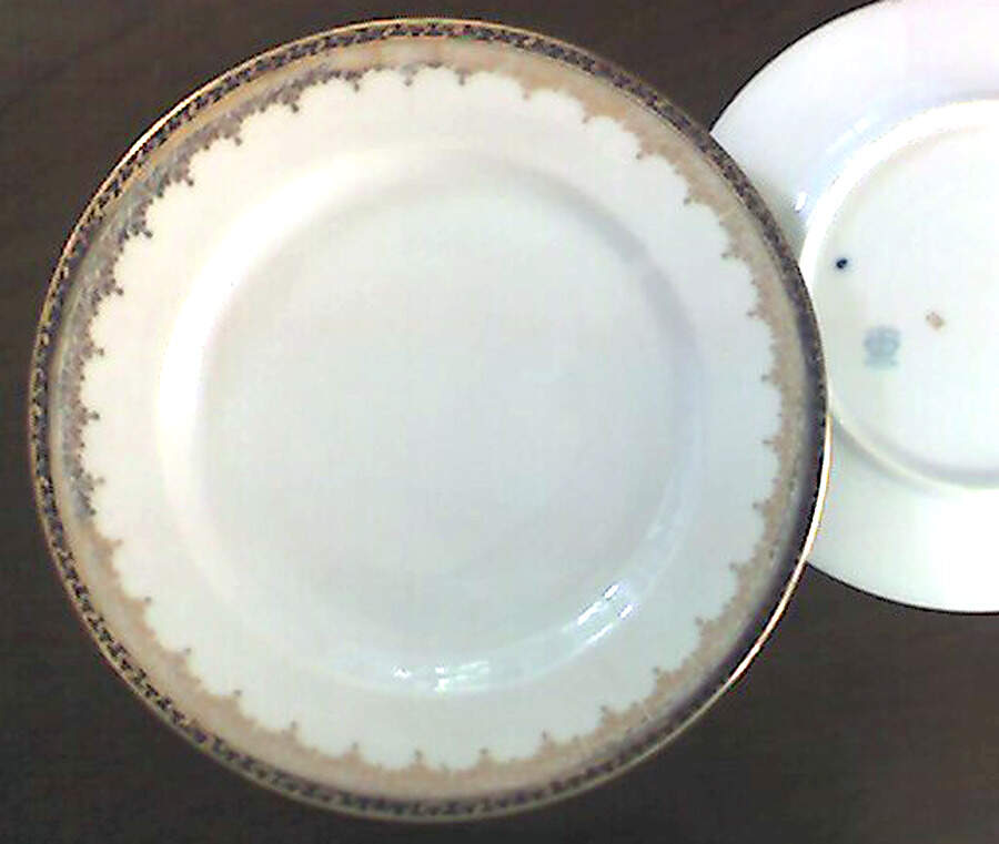 VTO160 Dinner Plate by Victoria (Austria)-1
