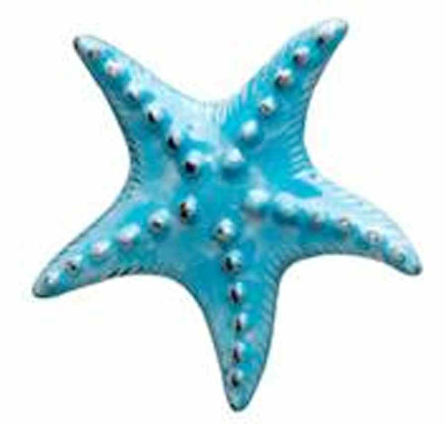 Incanto Mare Aqua Starfish by Vietri (Italy)-1