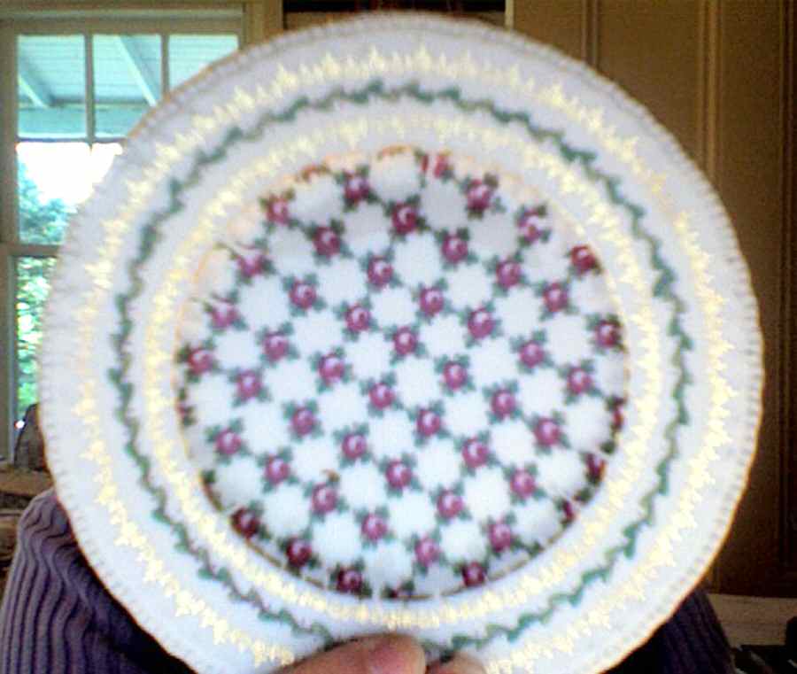 185 Dinner Plate by Victoria (Austria)-1