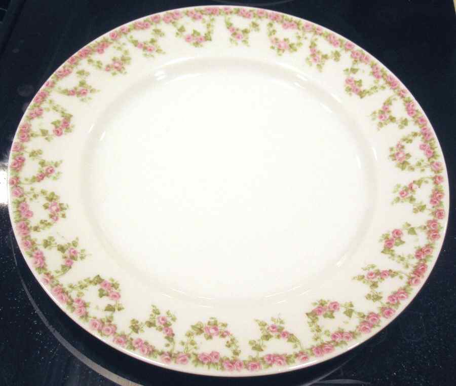 VNN43 Dinner Plate by Vienna-1