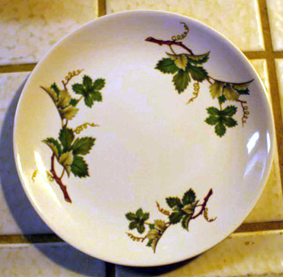 VIL192 Salad Plate by Villeroy & Boch-1