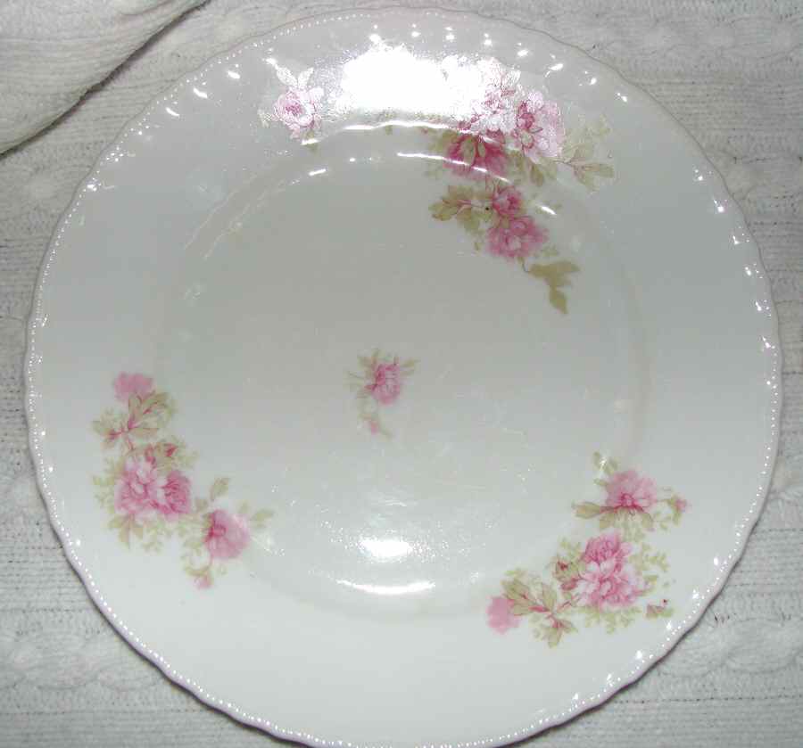 VTO168 Dinner Plate by Victoria (Austria)-1