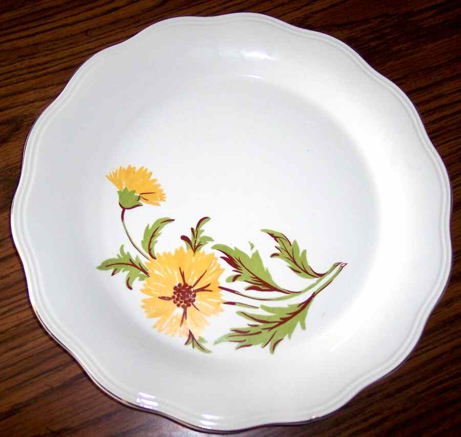 Sunny Dinner Plate by Vanity Fair-1