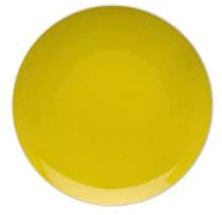 Gilly Dinner Plate by Vista Alegre-1