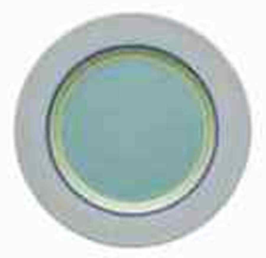 Viva Salad/Dessert Plate by Vista Alegre-1