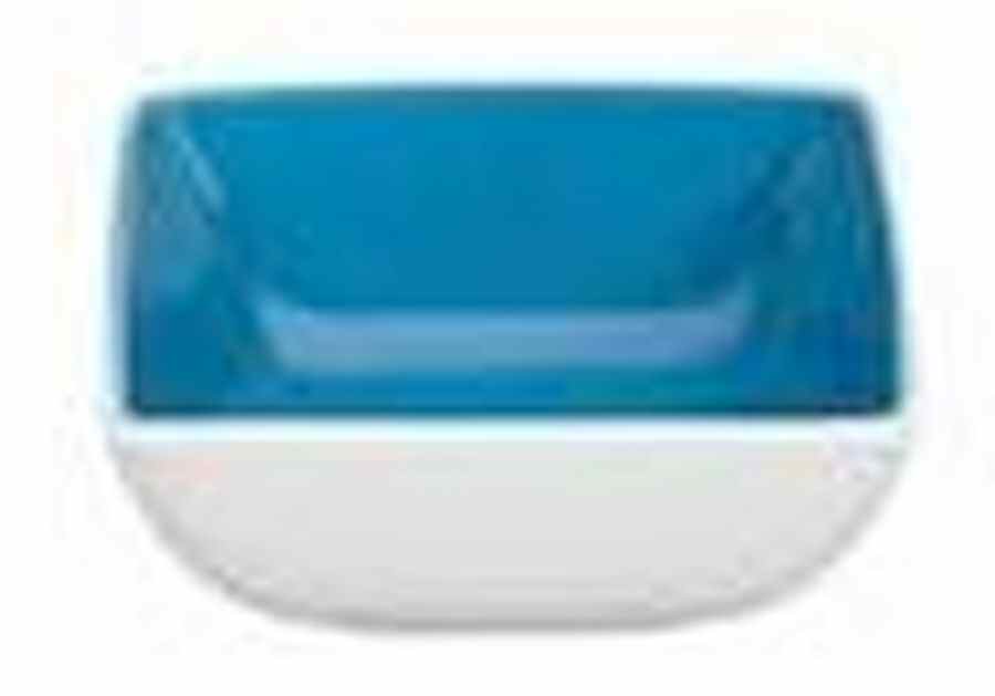 Fun Square Sushi Bowl by Vista Alegre-1