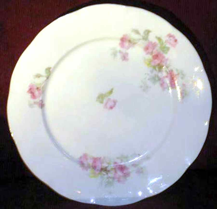 VTO172 Dinner Plate by Victoria (Austria)-1