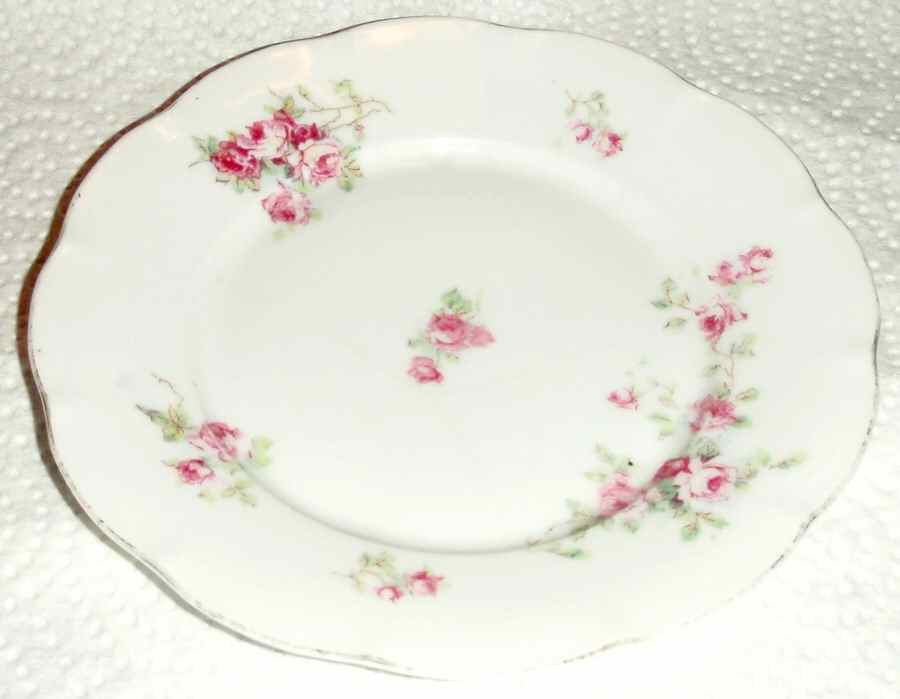 VTO173 Dinner Plate by Victoria (Austria)-1