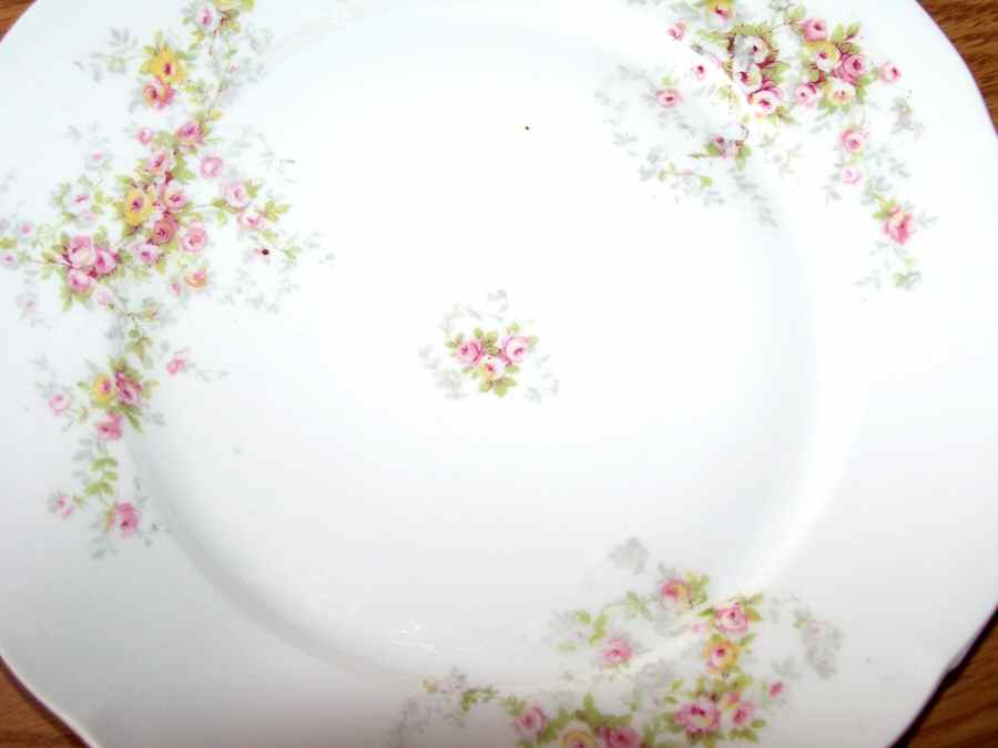 VTO175 Dinner Plate by Victoria (Austria)-1