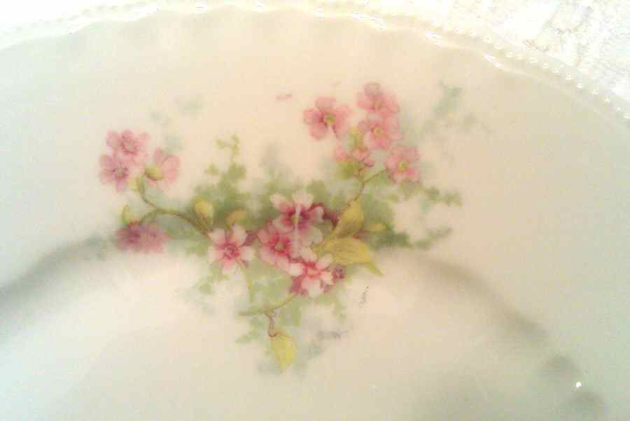 VTO177 Dinner Plate by Victoria (Austria)-1