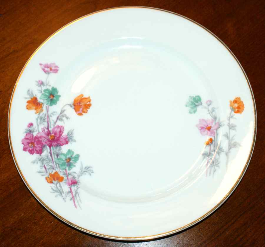 VIG170 Dinner Plate by Vignaud-1