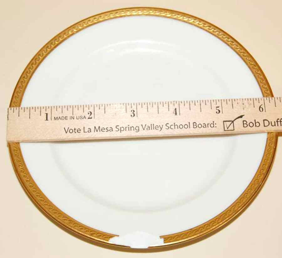 VIG171 Bread & Butter Plate by Vignaud-1