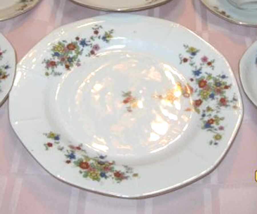 VIT337 Dinner Plate by Victoria (Czech)-1