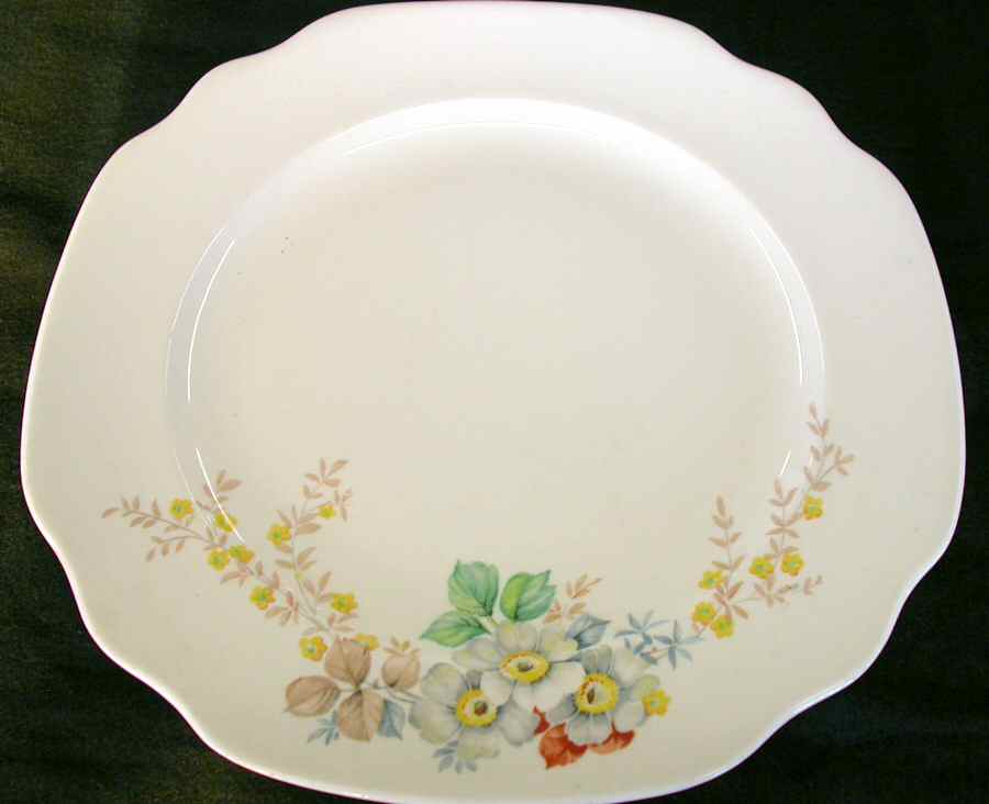 Grey Hostess Dinner Plate by Victoria (USA)-1