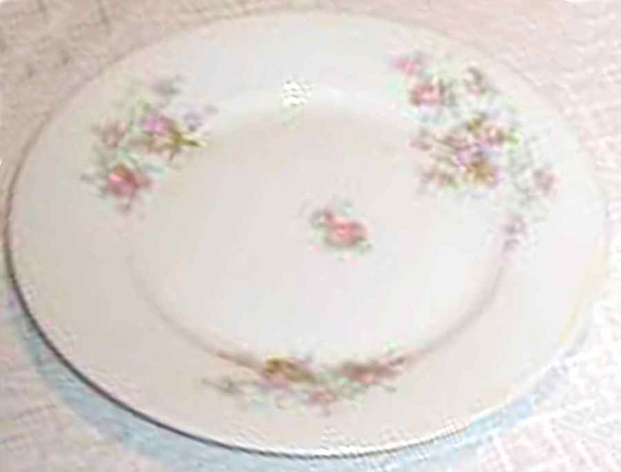 VNN48 Luncheon Plate by Vienna-1