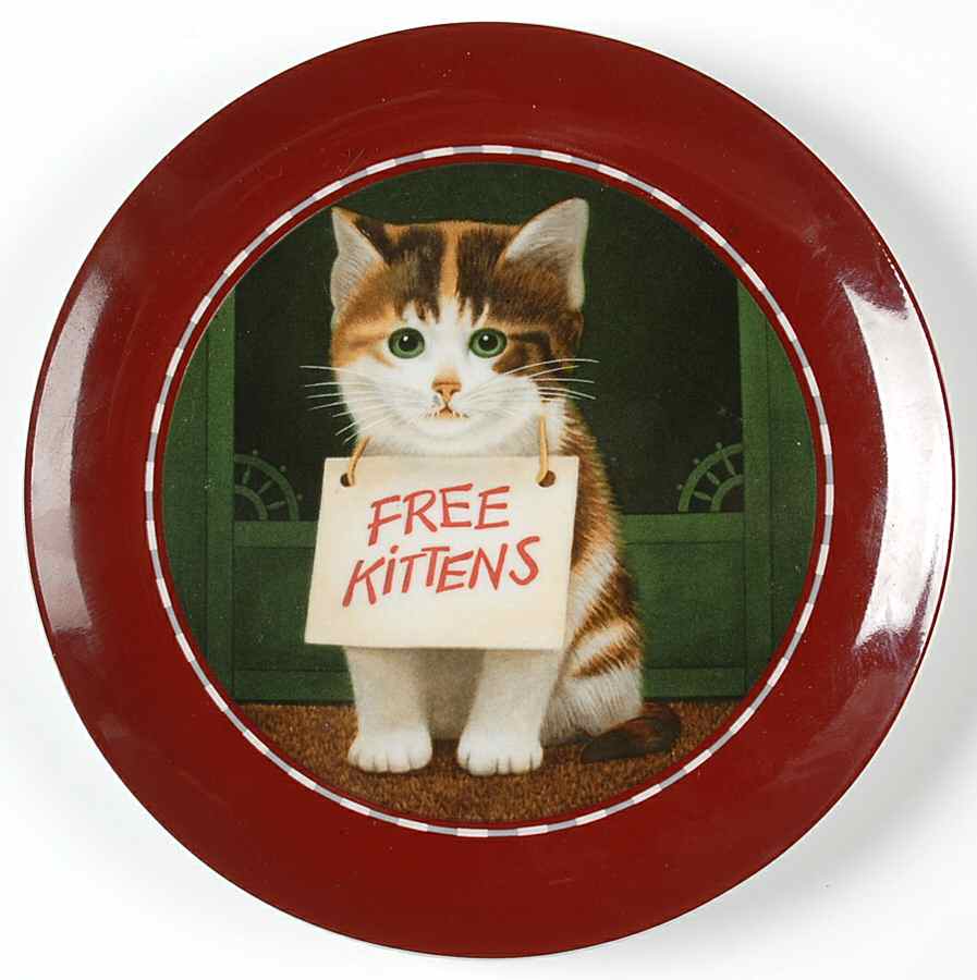 VAN9 Salad Plate by Vandor-1