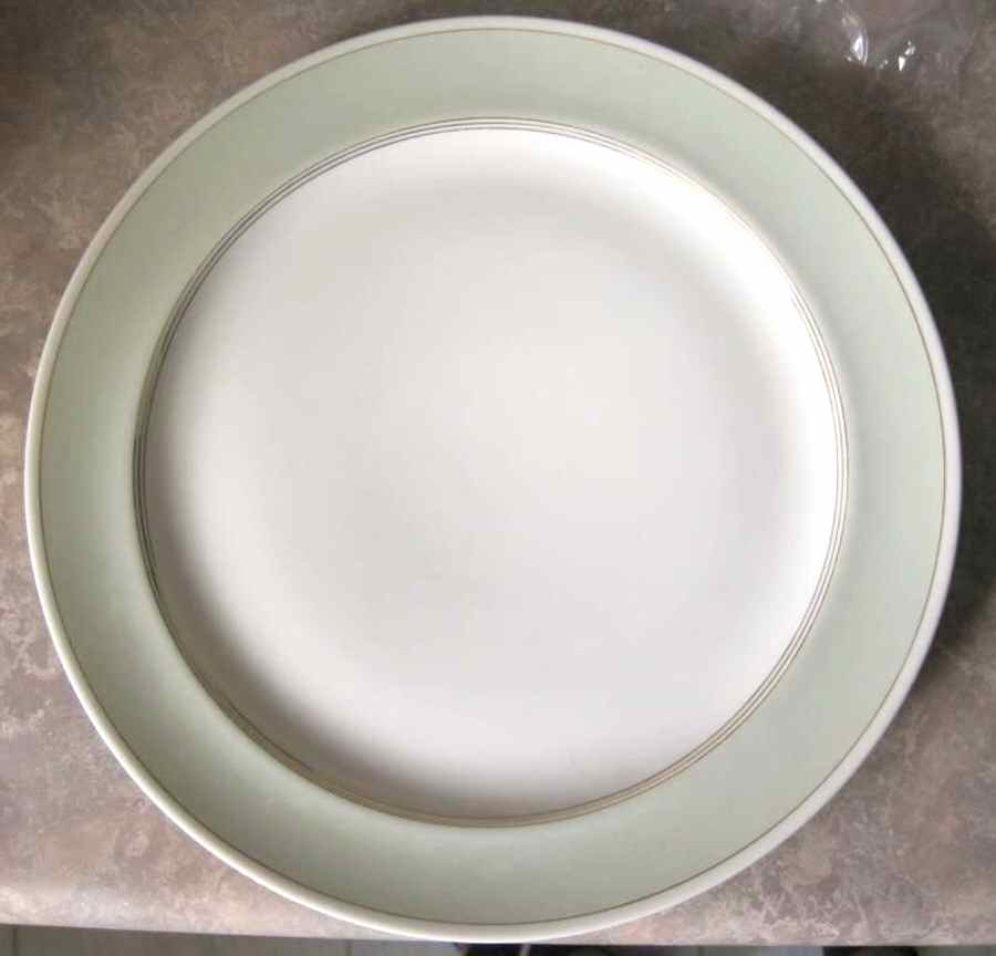 VIG174 Dinner Plate by Vignaud-1