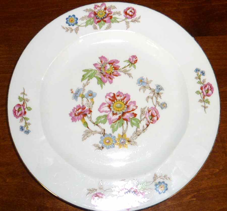 VIG176 Dinner Plate by Vignaud-1
