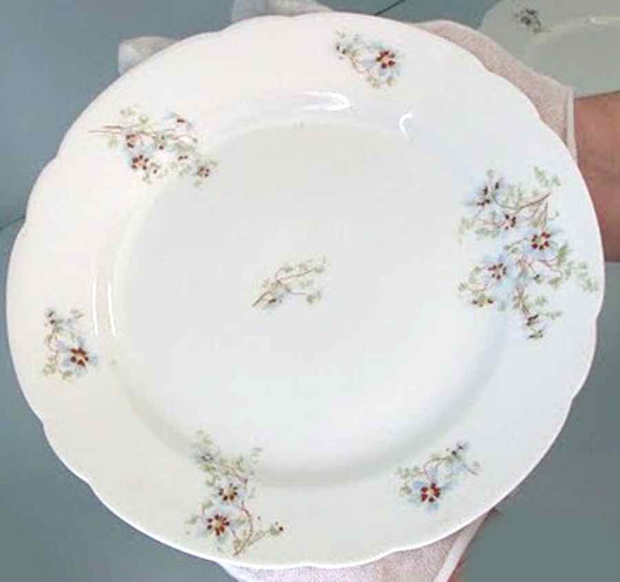 1362 Dinner Plate by Vienna-1