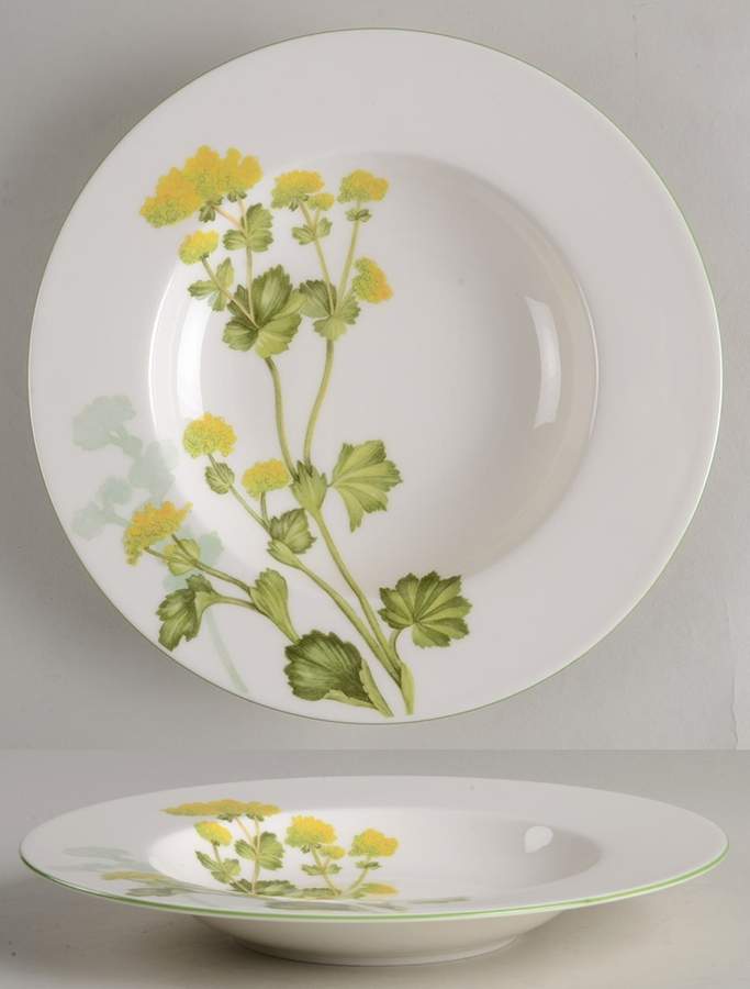 Althea Nova Large Rim Soup Bowl by Villeroy & Boch-1