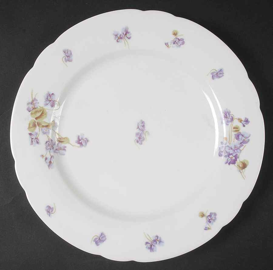 VNN68 Dinner Plate by Vienna-1