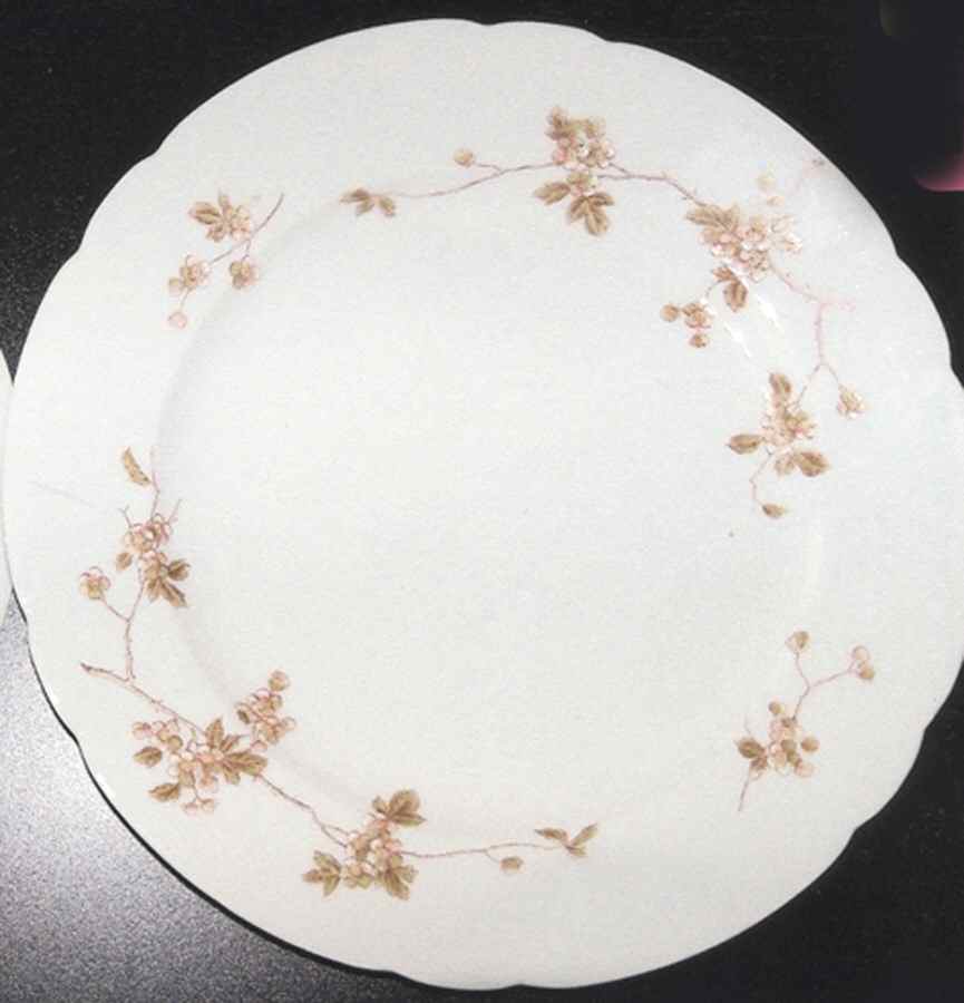 7722 Dinner Plate by Vienna-1