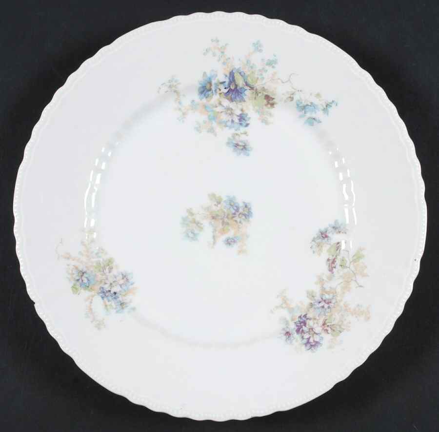 VTO185 Dinner Plate by Victoria (Austria)-1