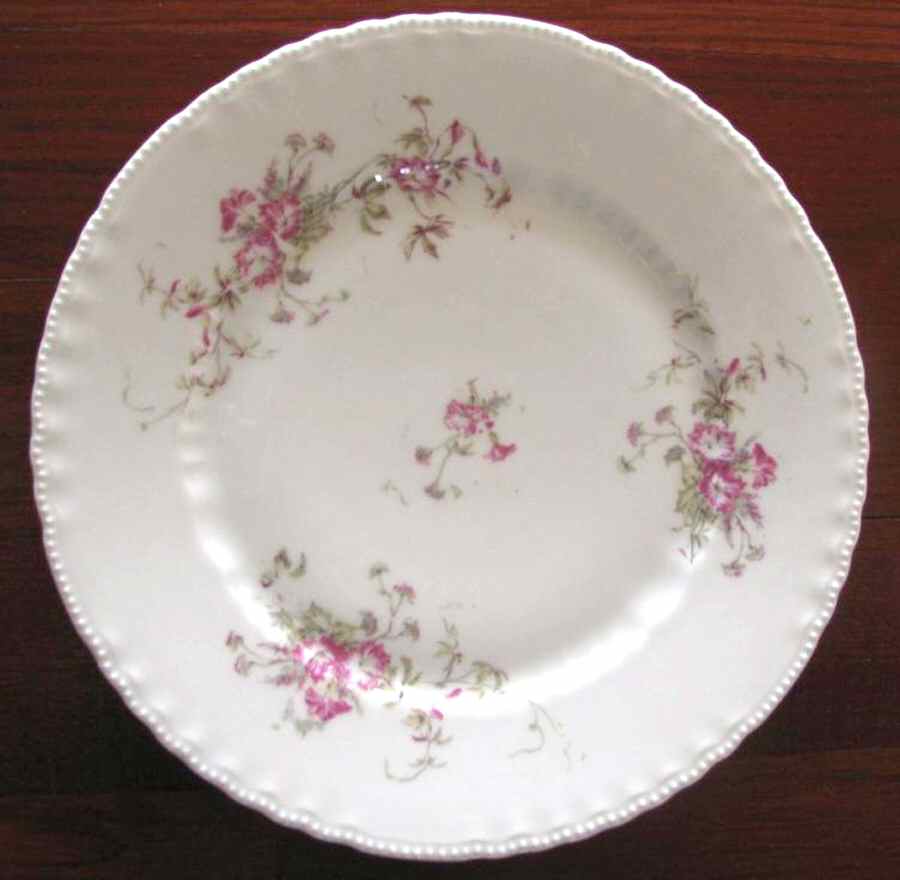 VTO189 Dinner Plate by Victoria (Austria)-1