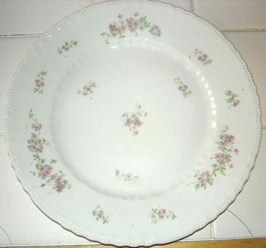 VTO193 Dinner Plate by Victoria (Austria)-1