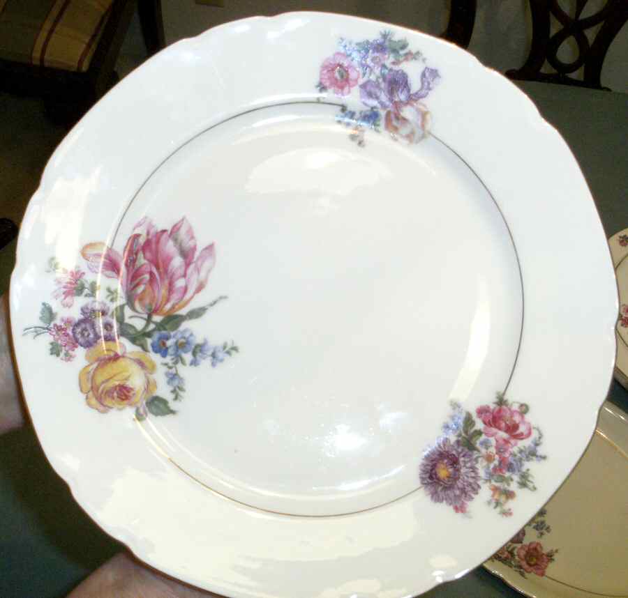 253-1 Dinner Plate by Victoria (Czech)-1