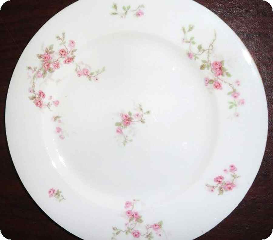 VIT355 Dinner Plate by Victoria (Czech)-1