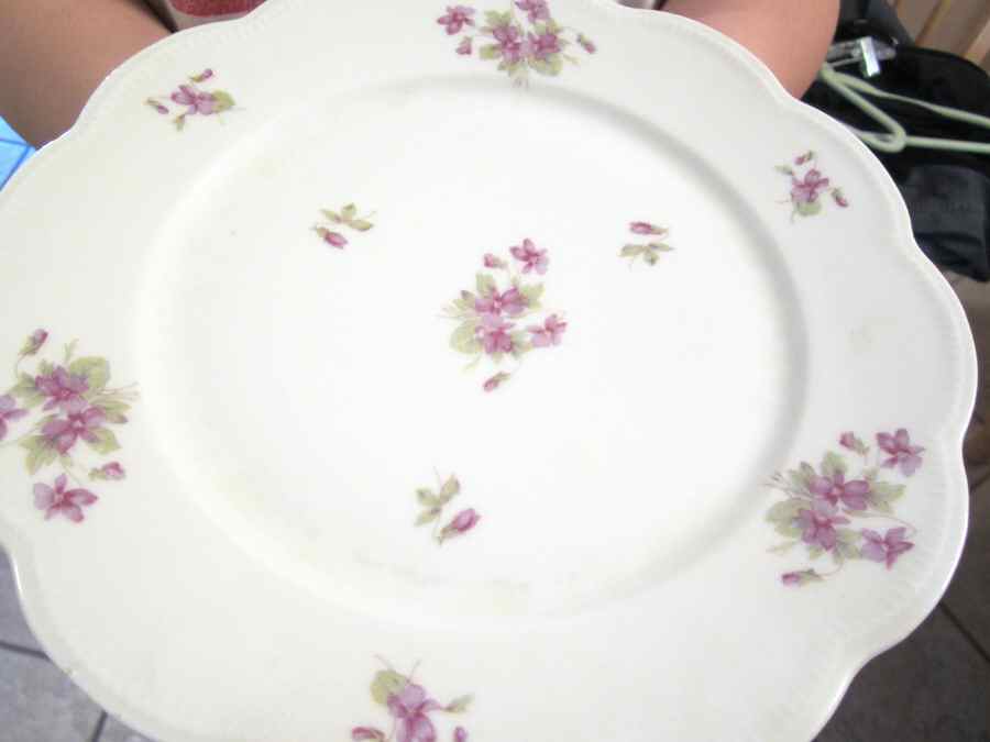 VIZ5 Dinner Plate by Vierzon-1