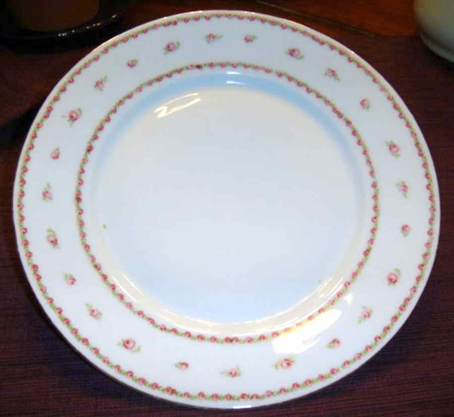 VTO197 Dinner Plate by Victoria (Austria)-1