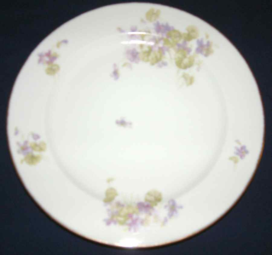 VIG180 Dinner Plate by Vignaud-1