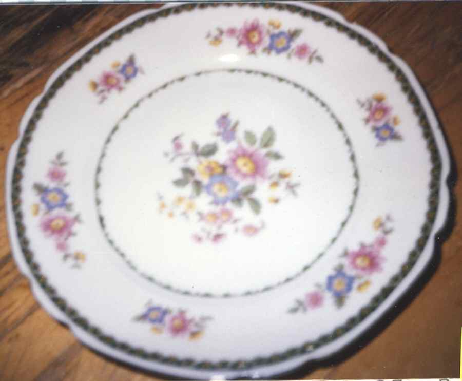 VIT362 (White) Dinner Plate by Victoria (Czech)-1