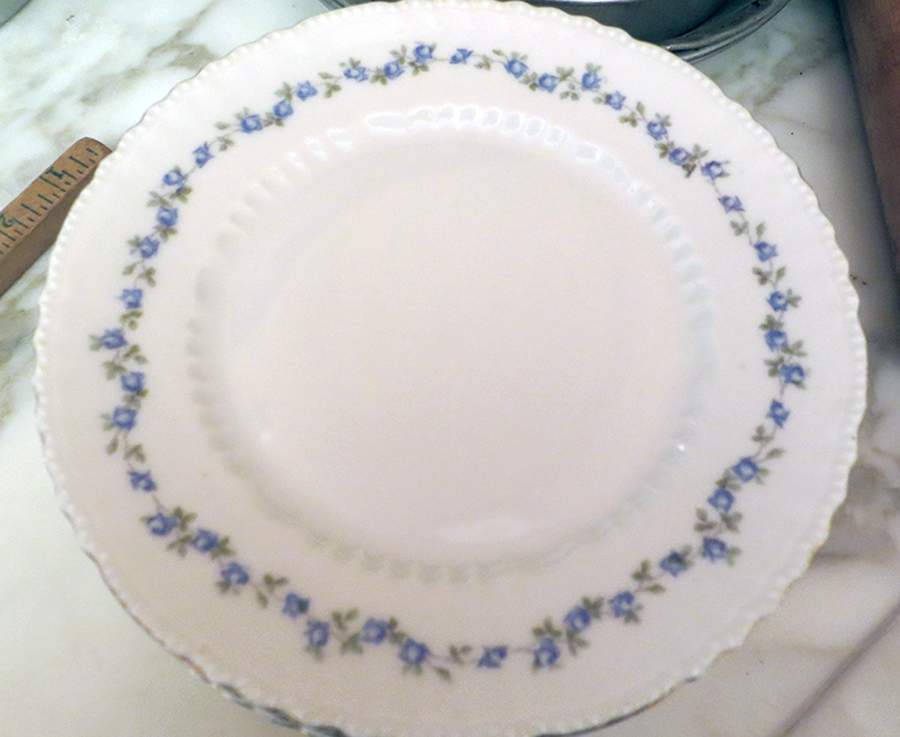 VTO198 Dinner Plate by Victoria (Austria)-1