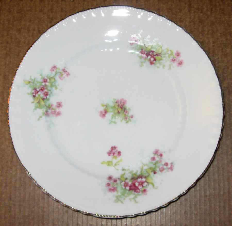 VTO199 Dinner Plate by Victoria (Austria)-1